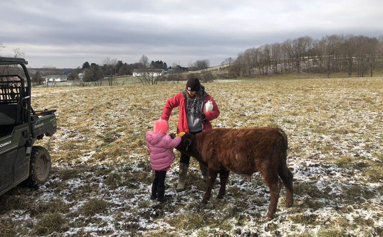 Jesse with calf